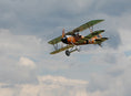 Load image into Gallery viewer, JW Albatros DV
