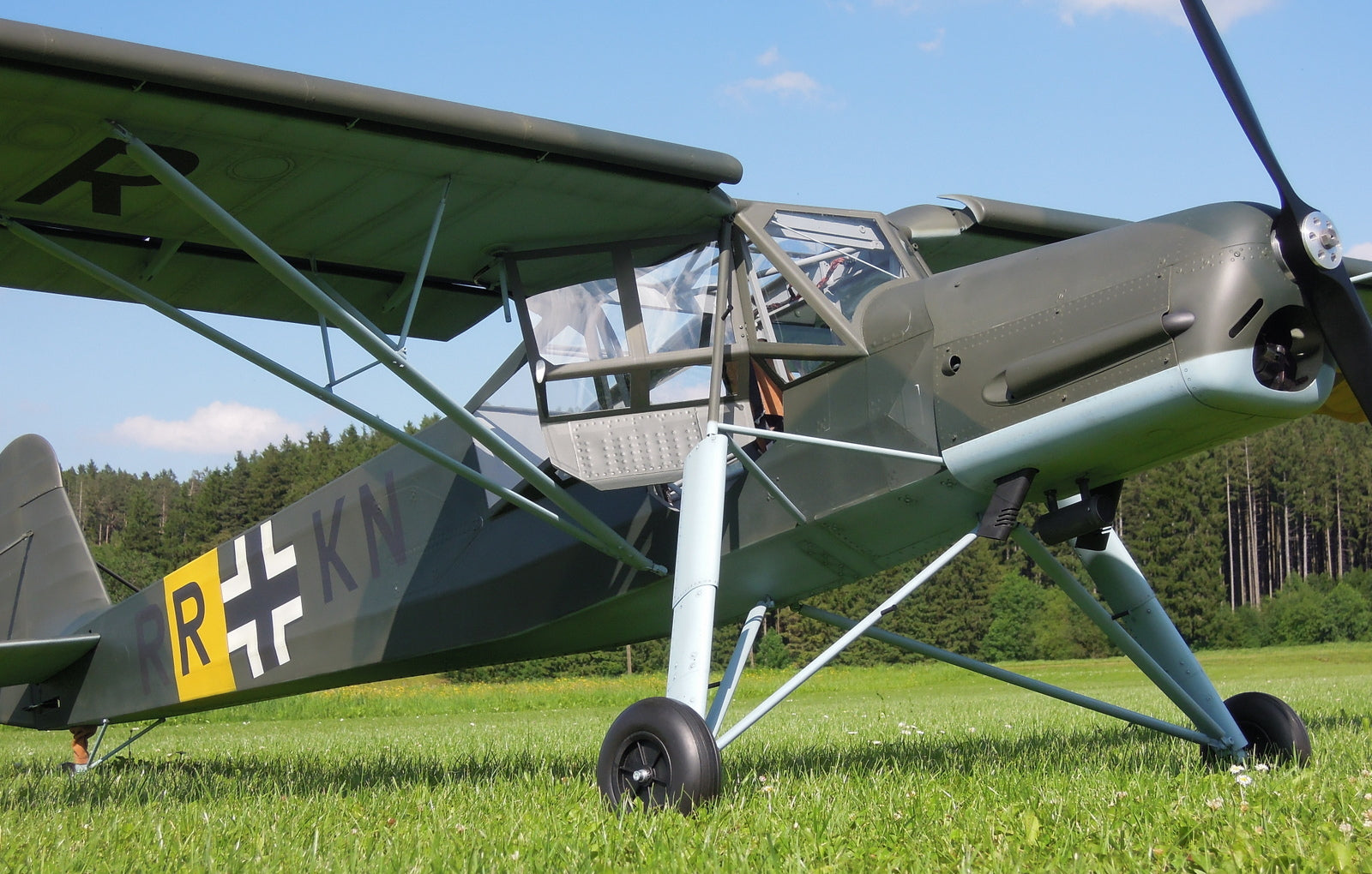THE STORCH IS BACK!!!