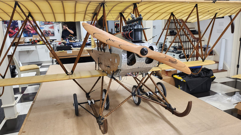Albatros Doppeltaube