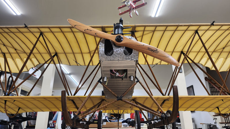 Albatros Doppeltaube
