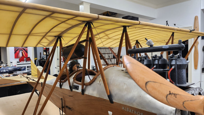 Albatros Doppeltaube