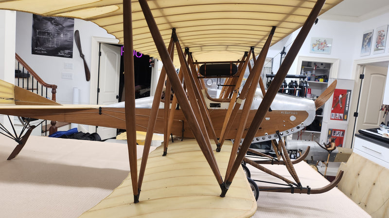 Albatros Doppeltaube