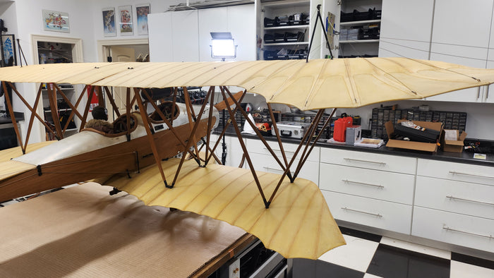 Albatros Doppeltaube