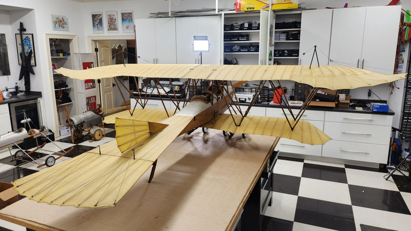Albatros Doppeltaube