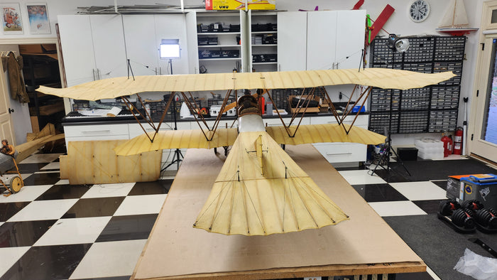 Albatros Doppeltaube