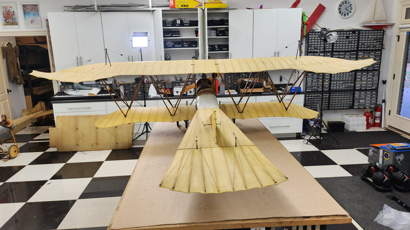 Albatros Doppeltaube