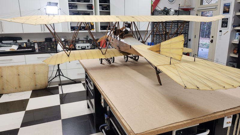 Albatros Doppeltaube