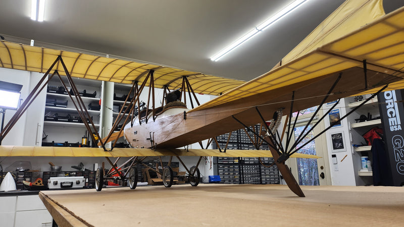 Albatros Doppeltaube