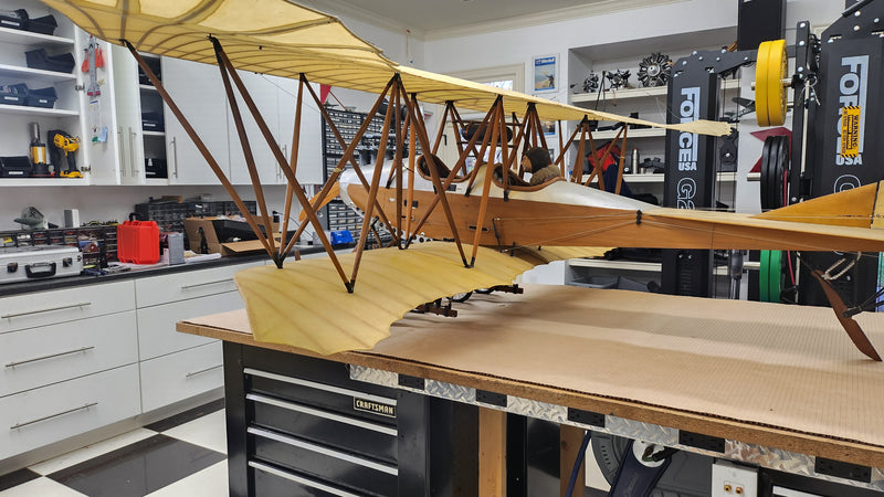 Albatros Doppeltaube