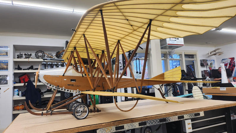 Albatros Doppeltaube