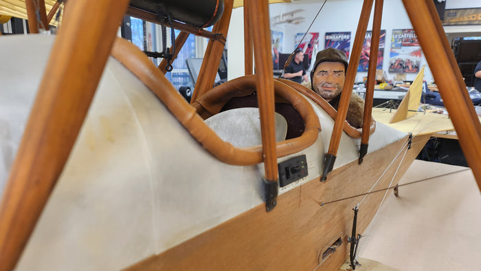 Albatros Doppeltaube