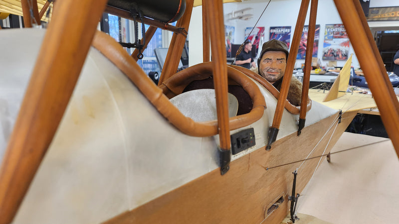 Albatros Doppeltaube
