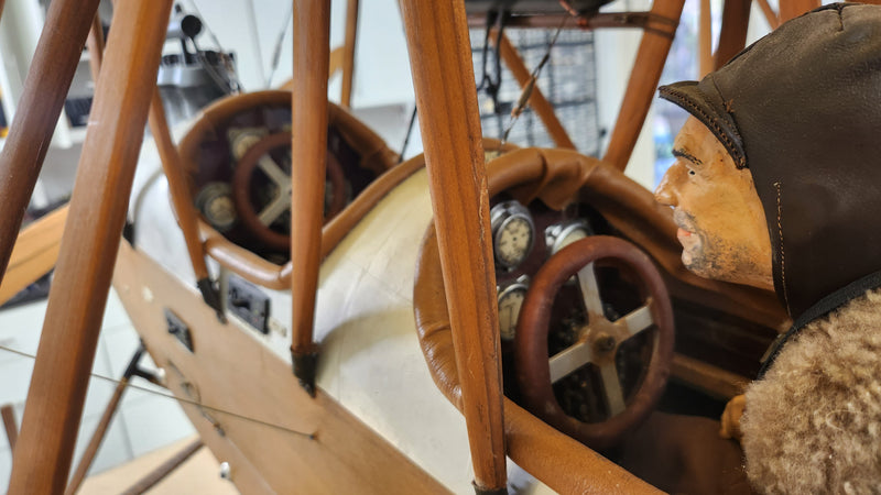Albatros Doppeltaube