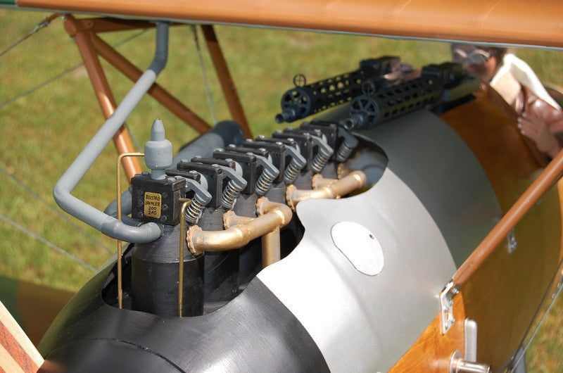 JW Albatros DV