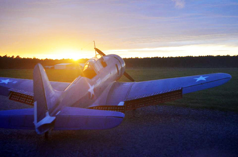 Legendary Wings Douglas SBD5 Dauntless