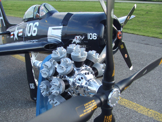 Seidel Museum Scale Flying Props