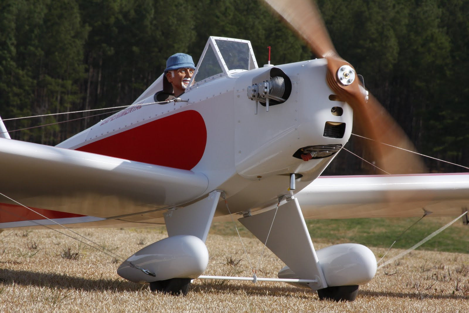 Schlundt FlyBaby