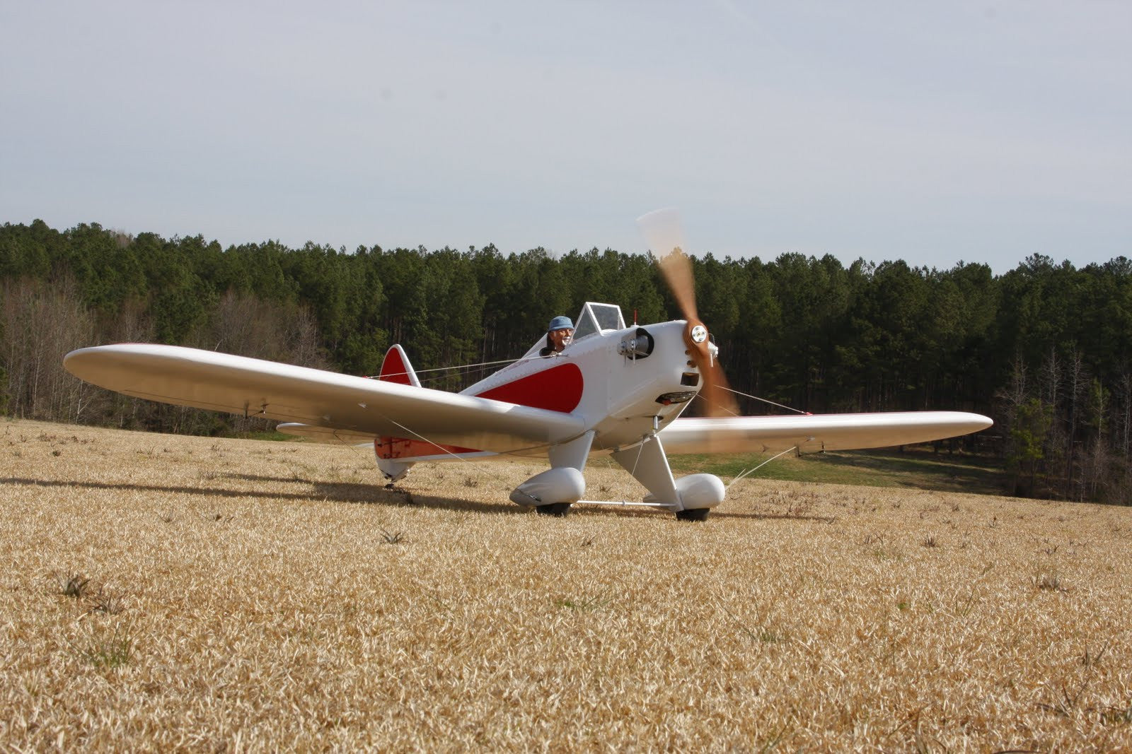 Schlundt FlyBaby