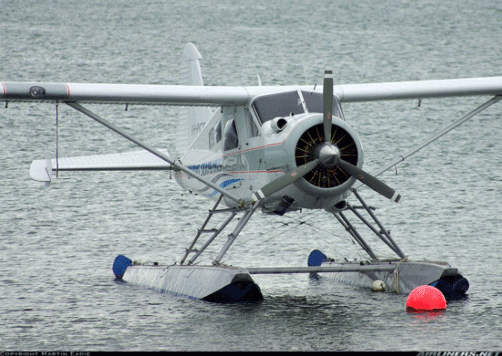 Seidel Museum Scale Flying Props