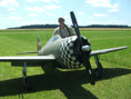 Load image into Gallery viewer, Seidel Museum Scale Flying Props
