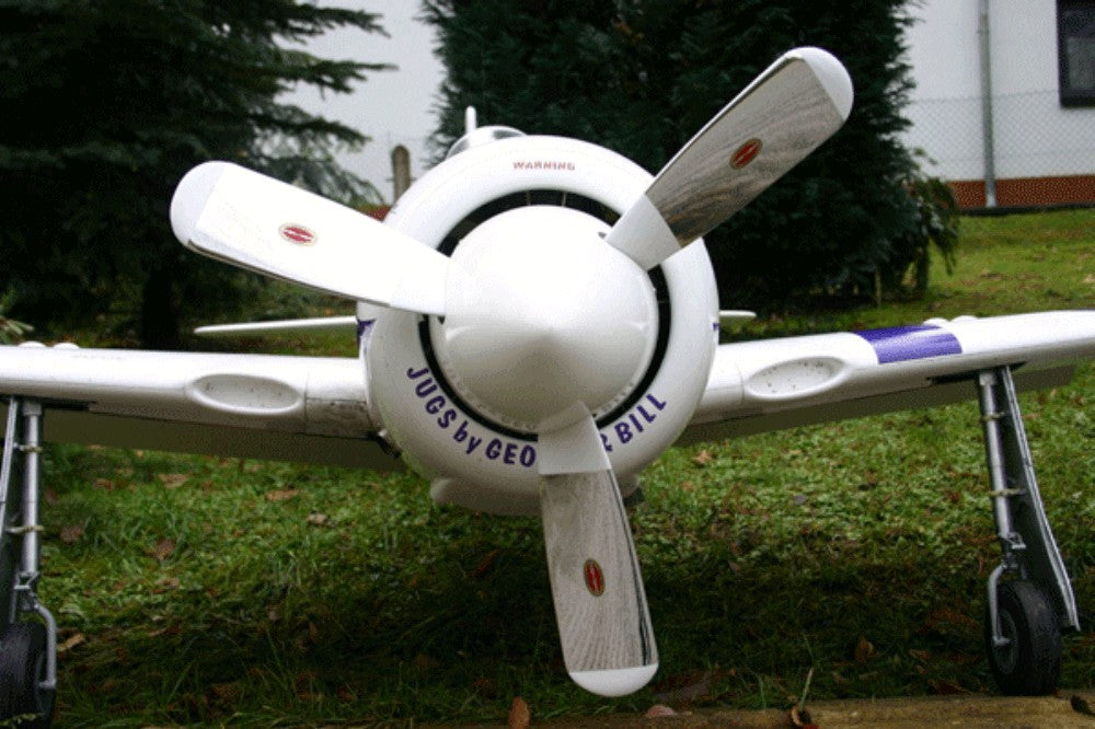 Seidel Museum Scale Flying Props